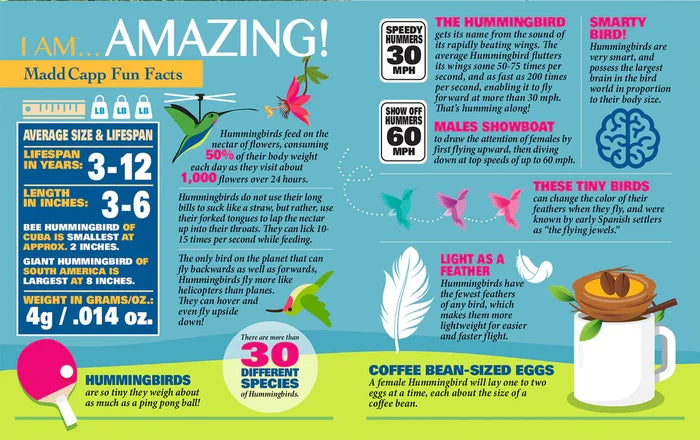 1000 Piece Shaped Jigsaw Puzzle - I Am Hummingbird | Madd Capp