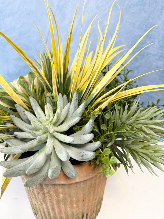 15" UV Protect Wild West Planter