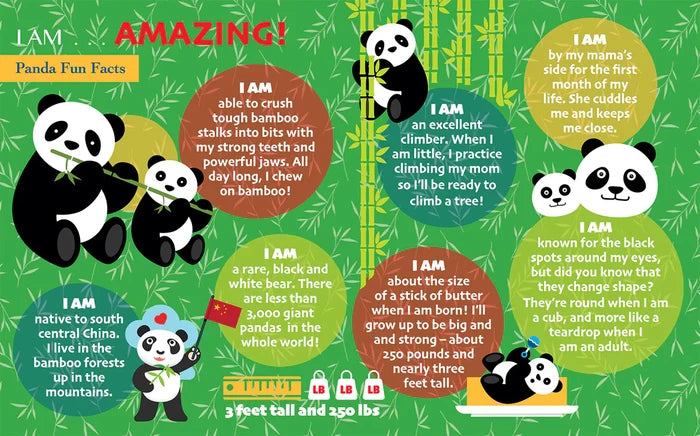 24 Piece Shaped Jigsaw Puzzle - I Am Panda | Madd Capp