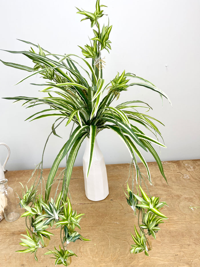 Silk green white variegated spider plant outdoor safe for transitional everyday home decor from Magnolias Home Decor