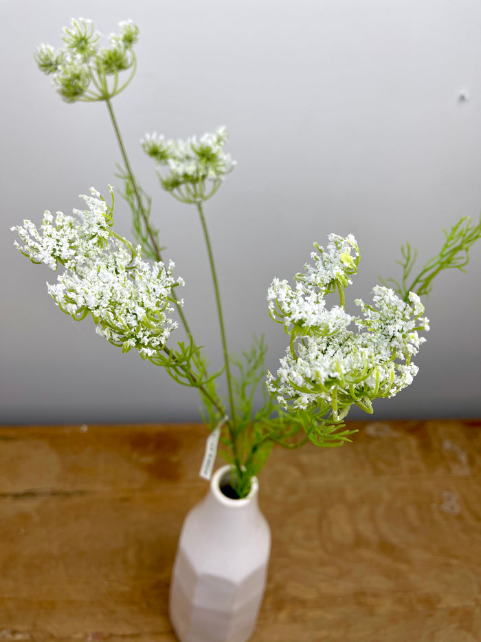 Wild Queen Annes Lace Spray