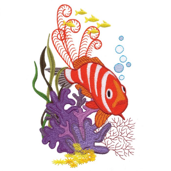 Amazing Designs Coral Reef