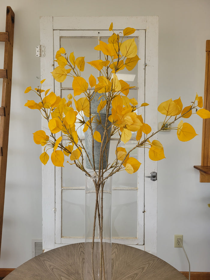 Aspen Leaf Branch