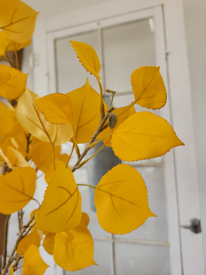 Aspen Leaf Branch