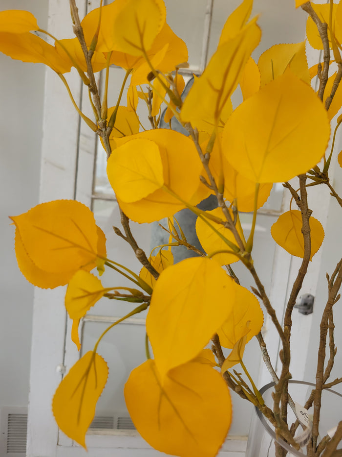 Aspen Leaf Branch