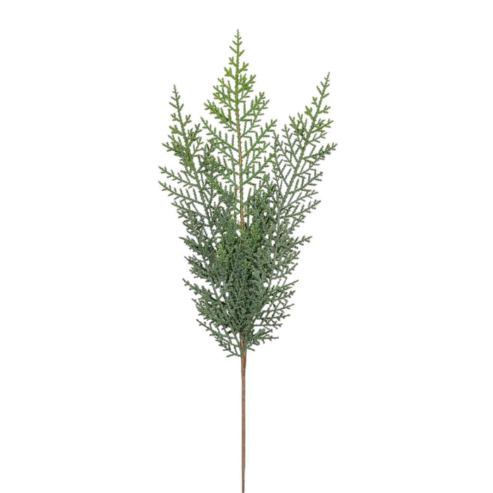 Astrid Cedar Spray