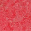 Batik Textiles #4806 - 1/2 Yard