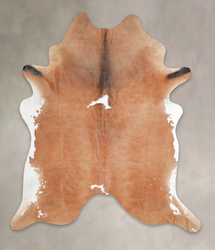 Brown and White Regular Cowhide Rug #A29099
