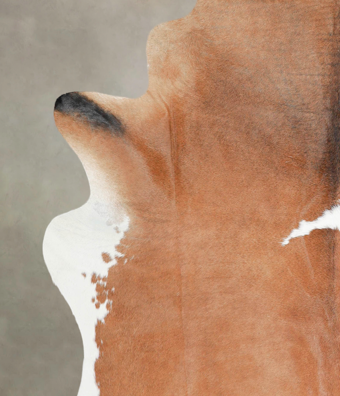 Brown and White Regular Cowhide Rug #A29099