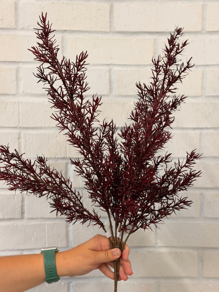 Burgundy Asparagus Fern Spray