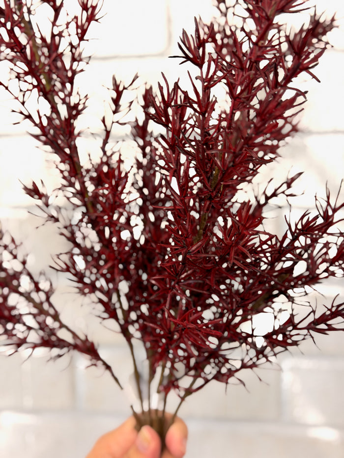 Burgundy Asparagus Fern Spray