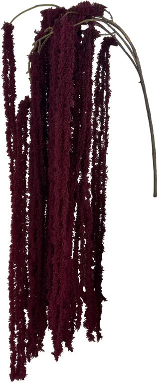 Burgundy Soft Amaranthus Spray