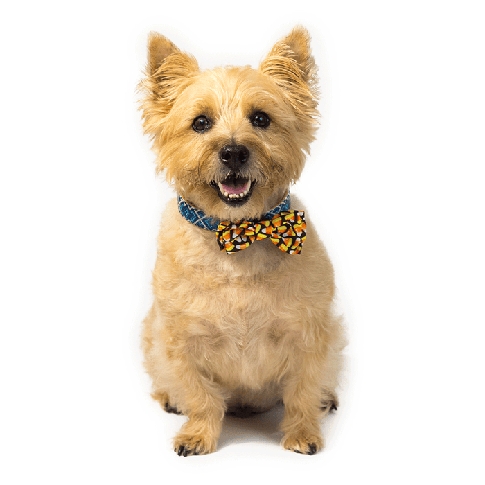 Candy Corn Attachable Bow Tie