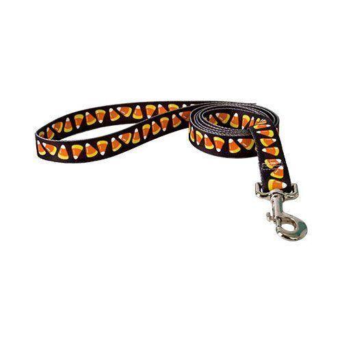 Candy Corn  Lead