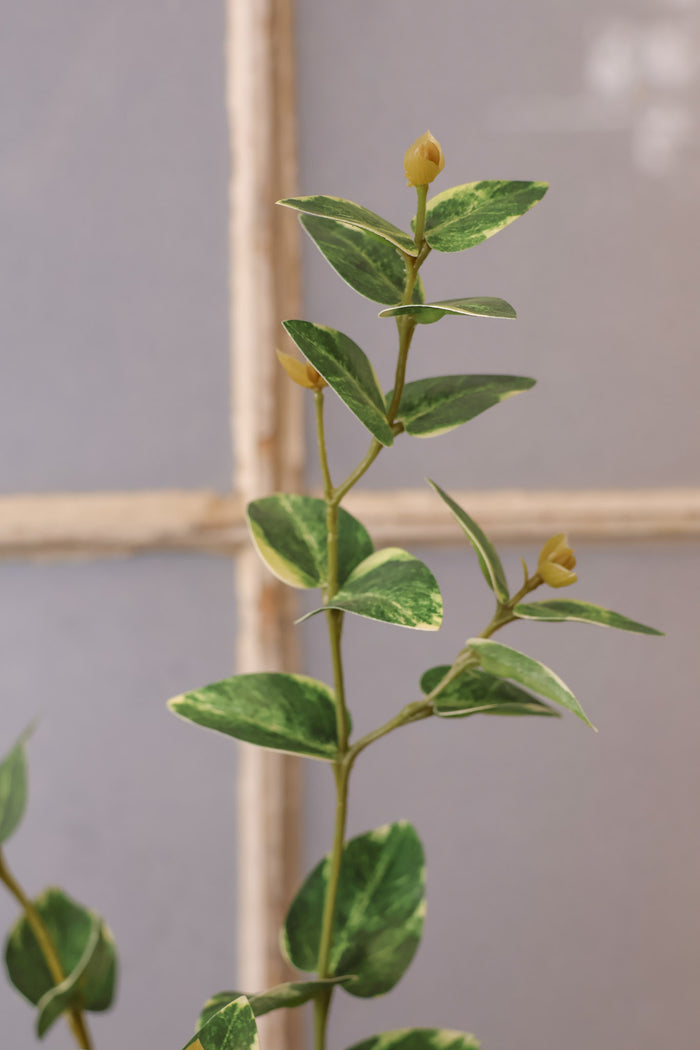 Captured In Time Foliage Stem