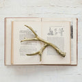 Cast Iron Antler