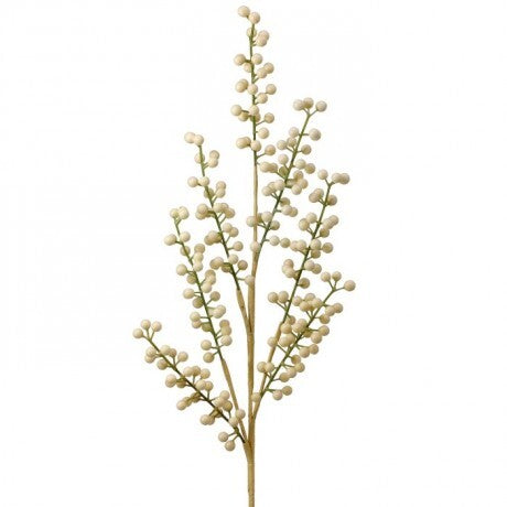 Cream Berry Spray