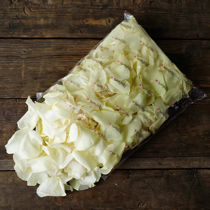 Cream Fresh Rose Petals Wholesale