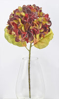 Deep Red Hydrangea Stem