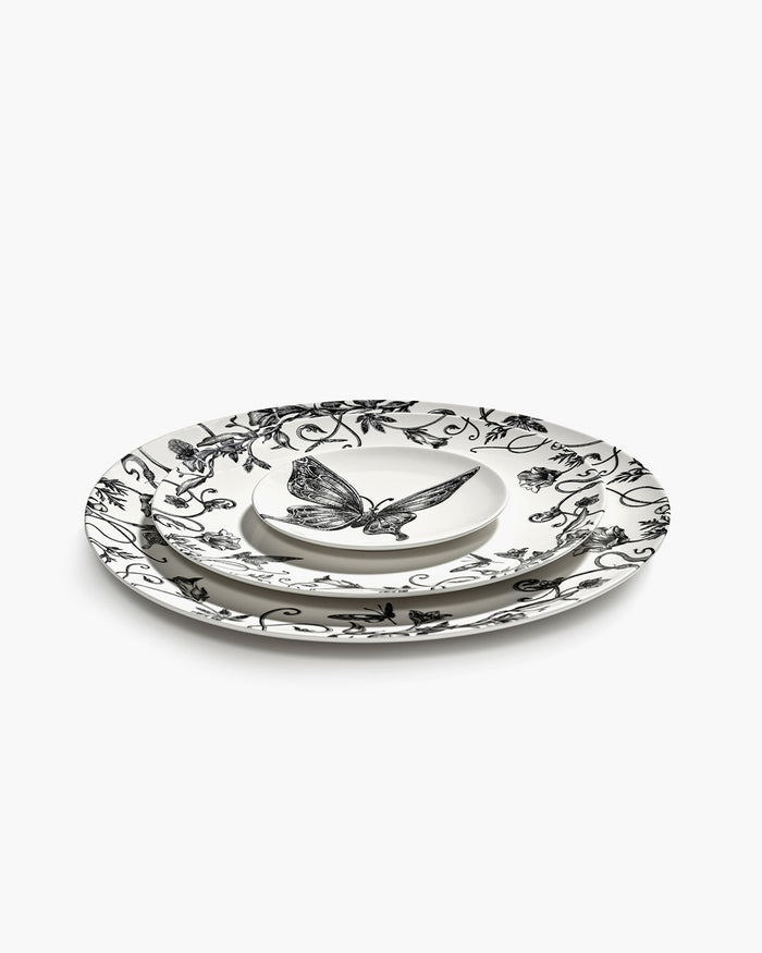 B9224207-008