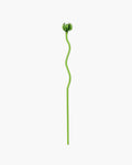 B4325001-500 Serax Kris Van Assche