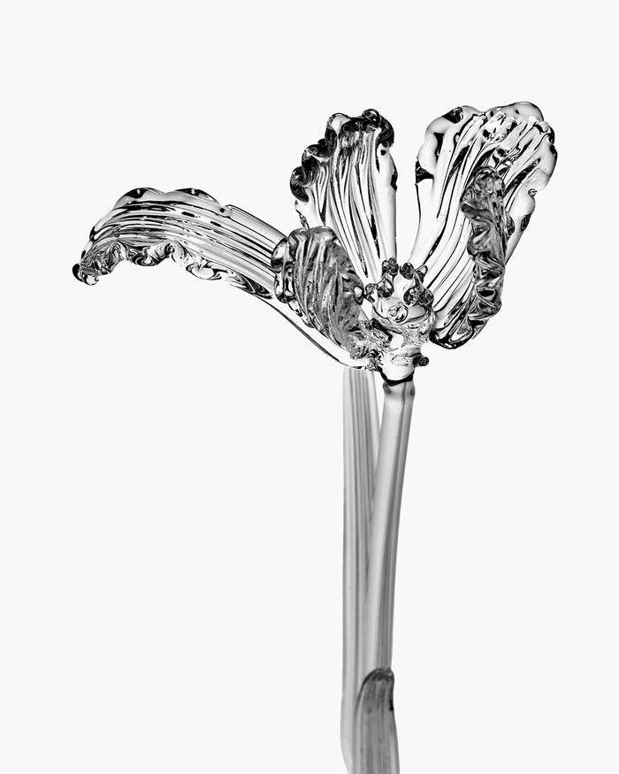 B4325003-050 Serax Kris Van Assche