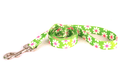 Green Daisy  Lead