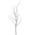 Isla Twig Branch