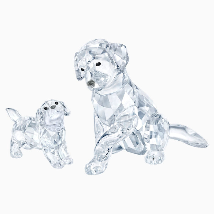 LABRADOR FAMILY ONLINE SET