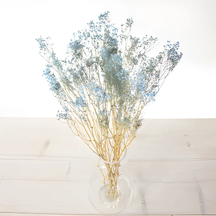Light Blue Dried Baby's Breath Flower
