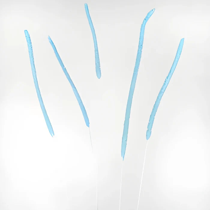 Light Blue Dried Timothy Grass