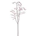 Mauve Spiraea Leaf Spray