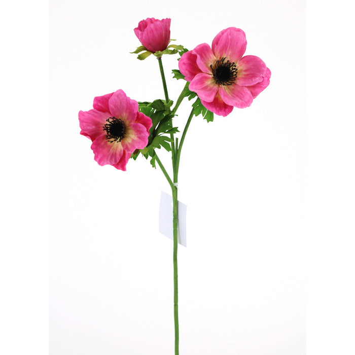 Mia Beauty Anemone Spray
