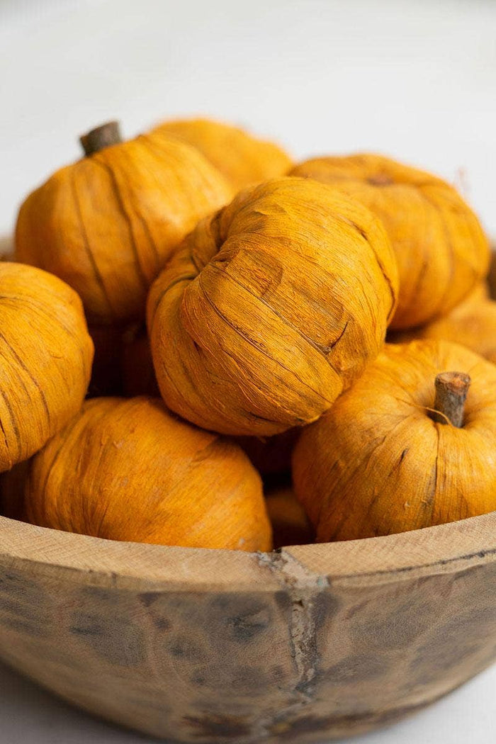 Mini Orange Dried Pumpkin Bag