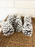 Natural Snow Pine Cone Bag