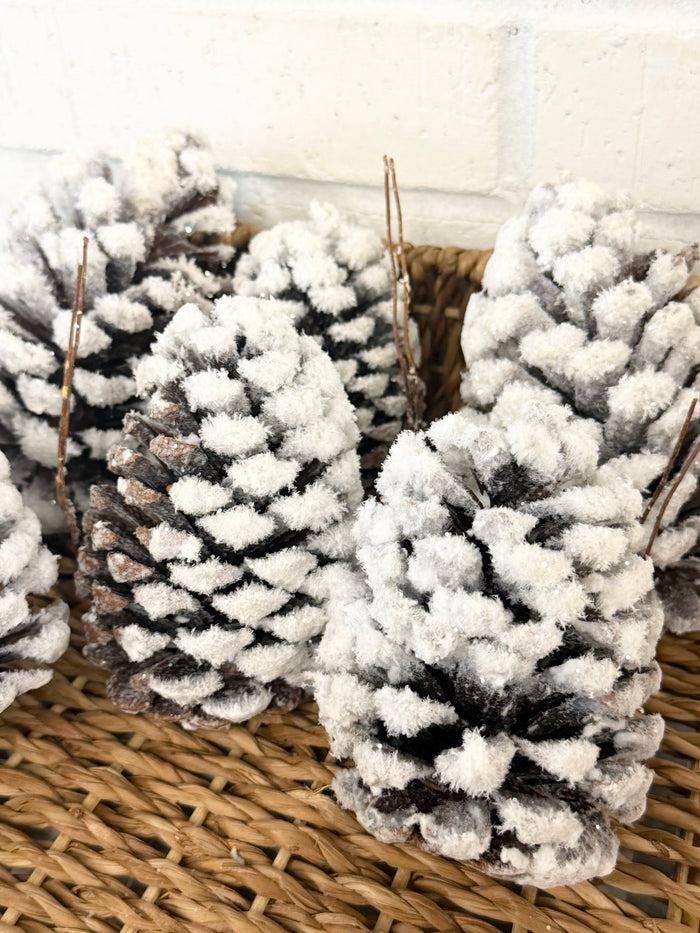 Natural Snow Pine Cone Bag
