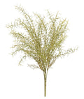 Olive Dried Rosemary Bush