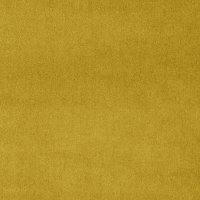Omega Canary