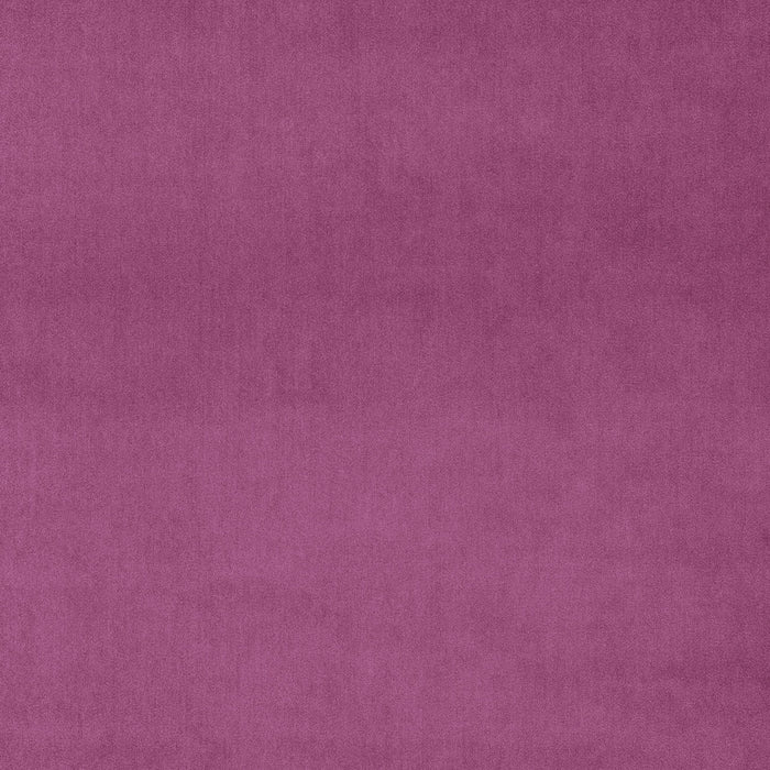 Omega Cerise