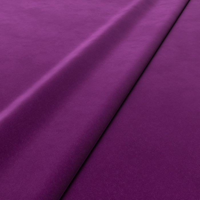 Omega Orchid