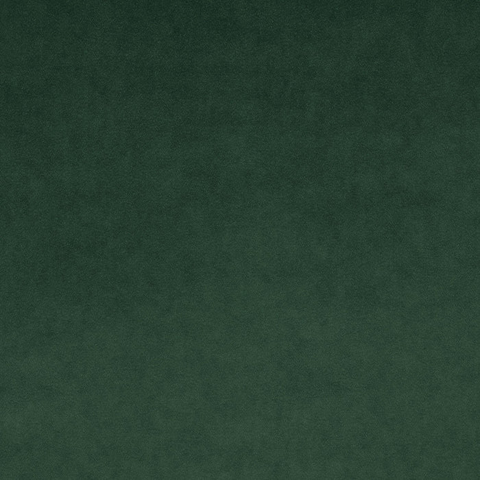 Omega Teal