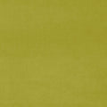 Omega Wattle