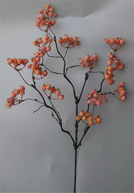 Orange Washed Currant Berry Spray