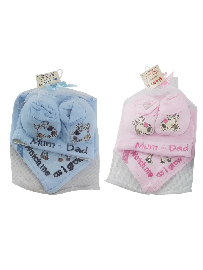 Organze Gift Set (Hat, Bib &Booties)
