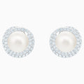 ORIGINALLY:PE STUD CRY/CZWH/RHS