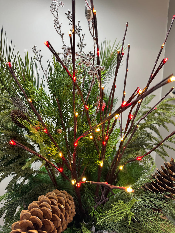 Outdoor Red & White Lighted Branch Set - Plug In