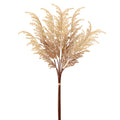 Pampas Grass Bundle