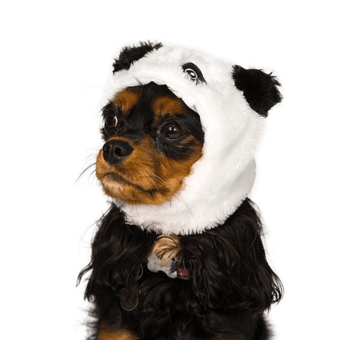 Panda Hat
