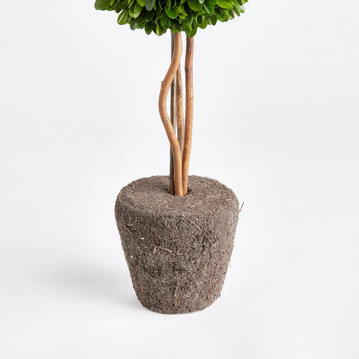 Preserved Boxwood Topiary Drop-In – 16" Single Sphere - Villa Decor & Design