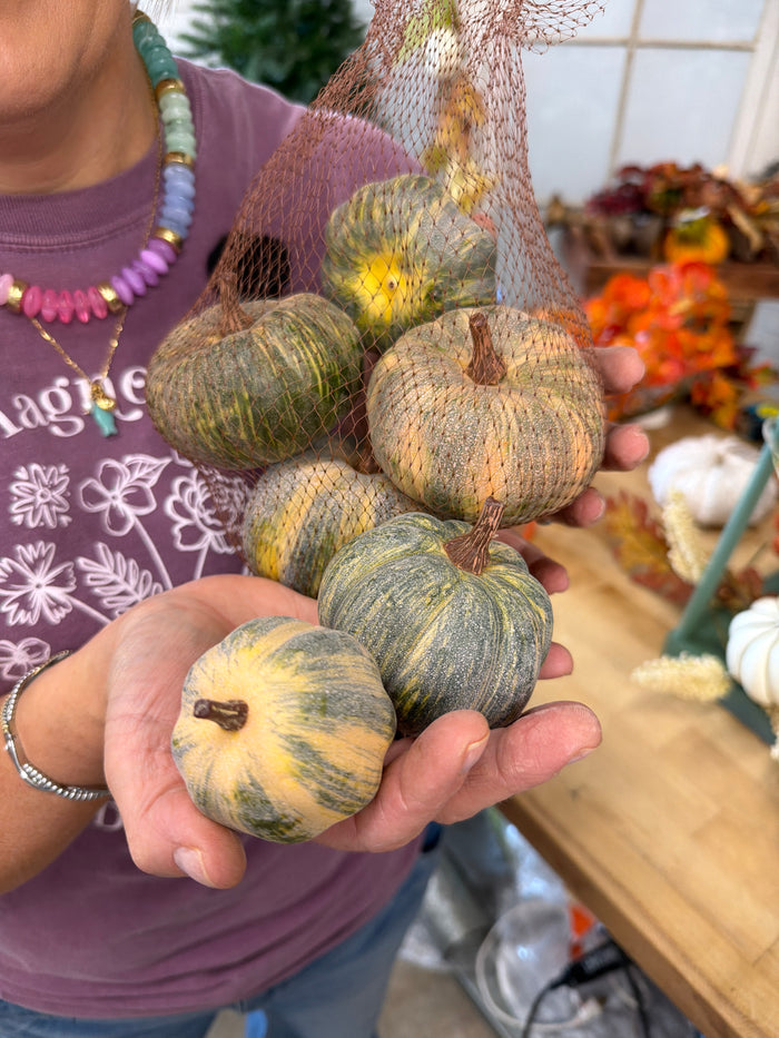 Pumpkin Patch Bag of 6